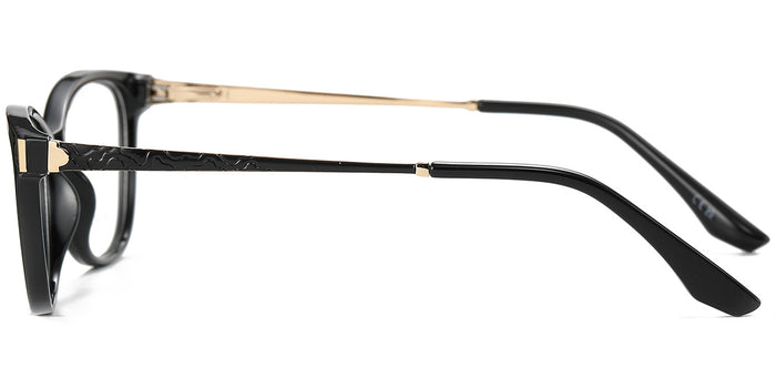 Drawing Aesthetics Eyewear