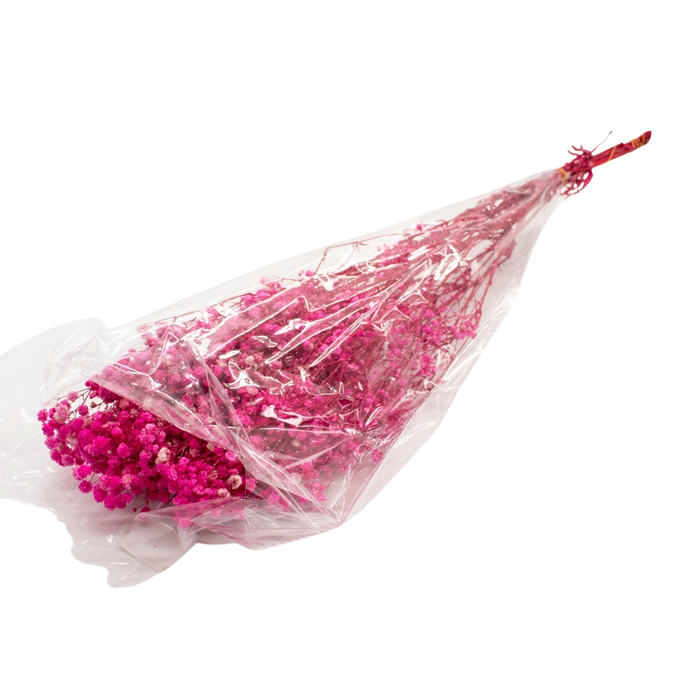 DRIED GYPSOFYLLO H/PINK 100G Deventor