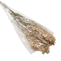 DRIED GYPSOFYLLO IVORY 100G Deventor