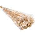 DRIED GYPSOFYLLO IVORY 100G Deventor