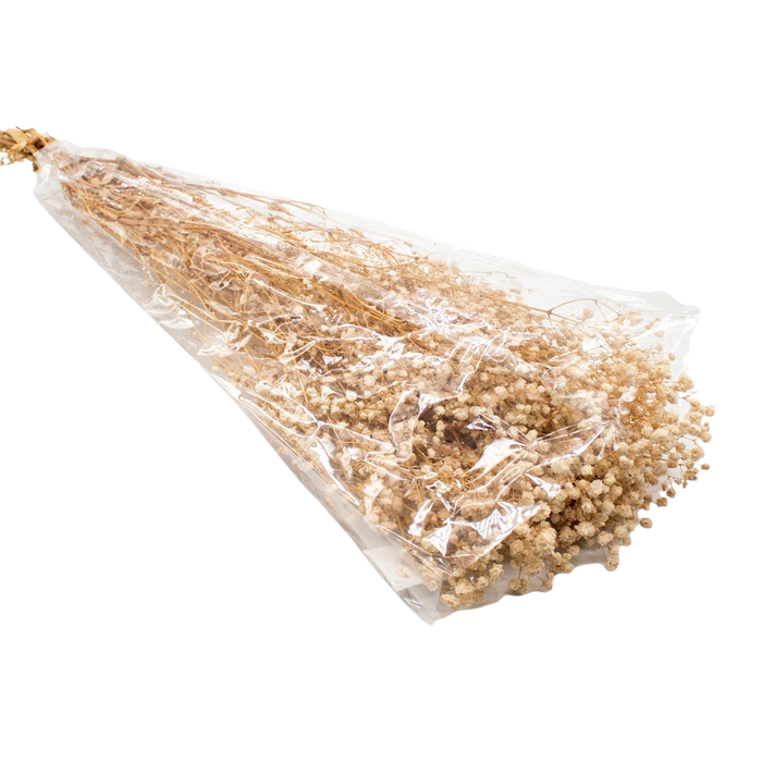DRIED GYPSOFYLLO IVORY 100G Deventor