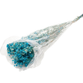 DRIED GYPSOFYLLO TURQUOISE 100G Deventor