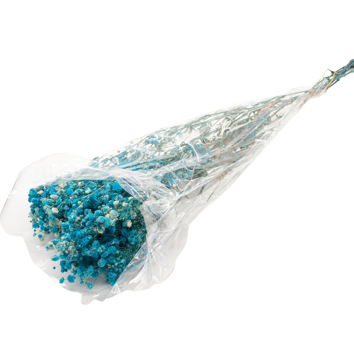 DRIED GYPSOFYLLO TURQUOISE 100G Deventor