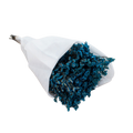 DRIED LEMONIUM BLUE 100G Deventor