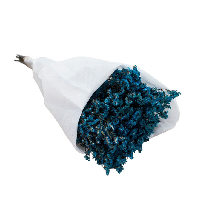 DRIED LEMONIUM BLUE 100G Deventor