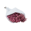 DRIED LEMONIUM PINK 100G Deventor