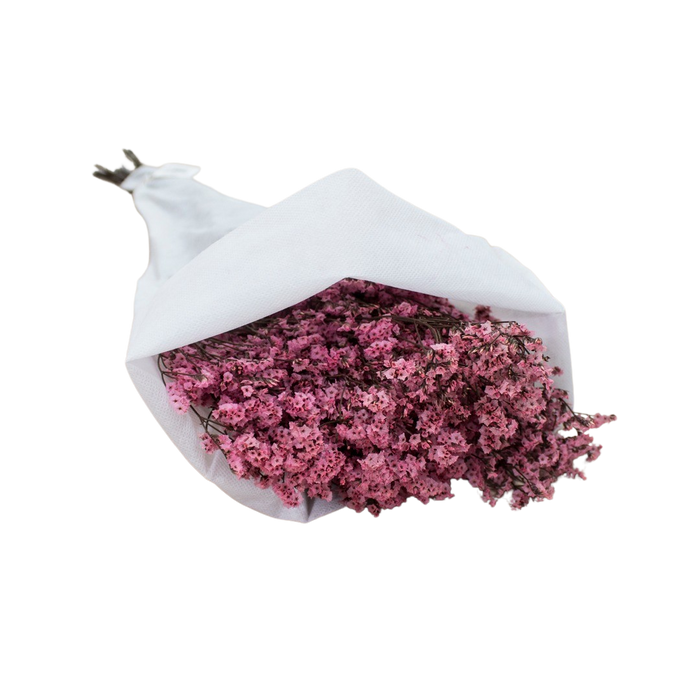 DRIED LEMONIUM PINK 100G Deventor
