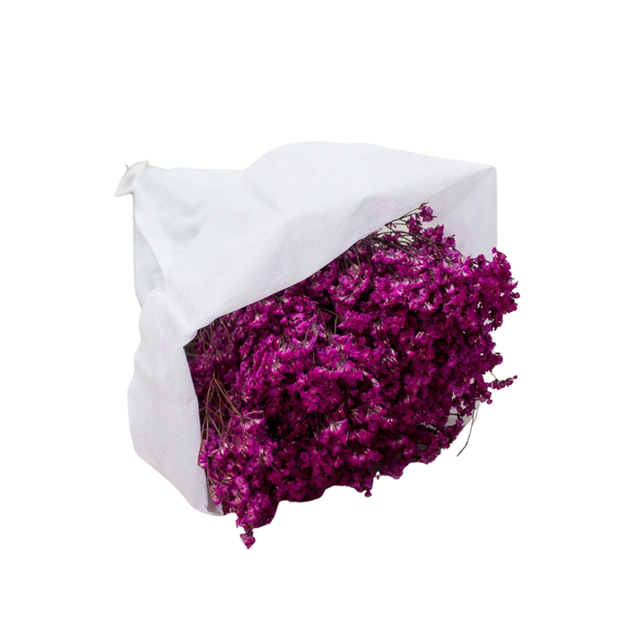 DRIED LEMONIUM PURPLE 100G Deventor
