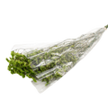 DRIED LIMONIUM GREEN 100G Deventor