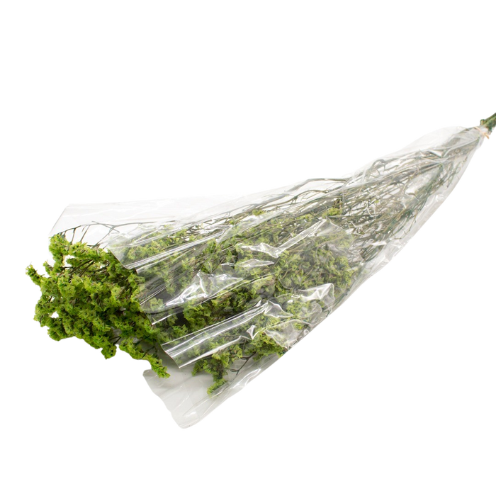 DRIED LIMONIUM GREEN 100G Deventor