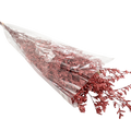DRIED LIMONIUM L/RED 100G Deventor