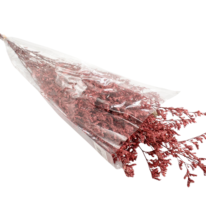 DRIED LIMONIUM L/RED 100G Deventor