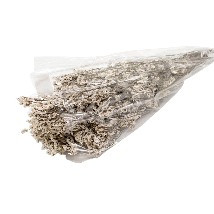 DRIED LIMONIUM WHITE 100G Deventor