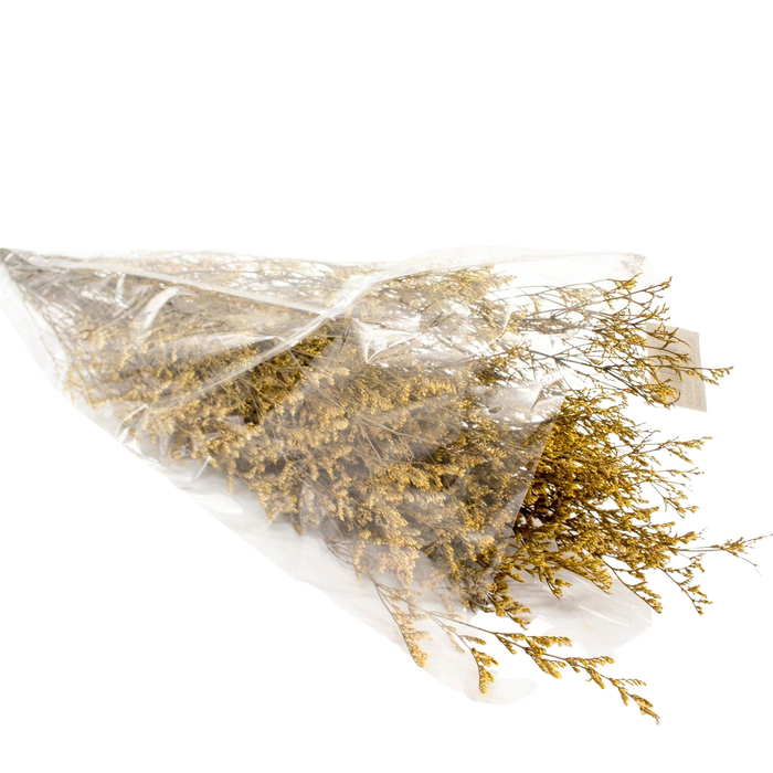 DRIED LIMONIUM YELLOW 100G Deventor