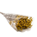 DRIED LIMONIUM YELLOW 100G Deventor