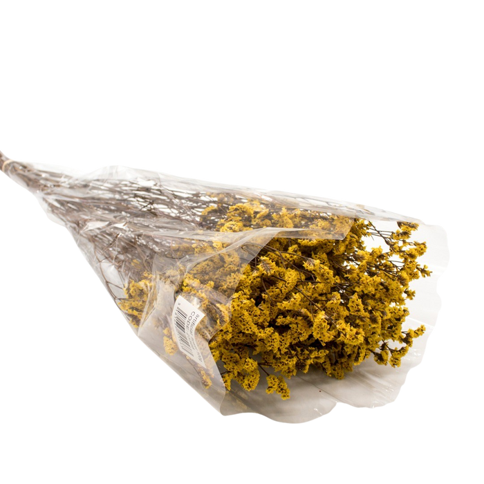 DRIED LIMONIUM YELLOW 100G Deventor