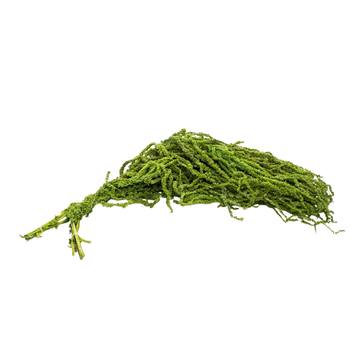 DRIED PLANT WHITE 5 BRANCH 60CM Deventor