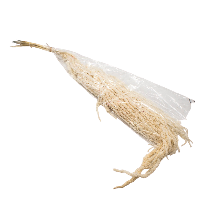 DRIED PLANT WHITE 5 BRANCH 60CM Deventor