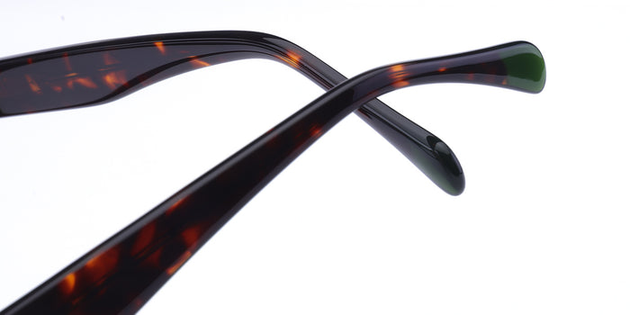 Elegant Summit Eyewear