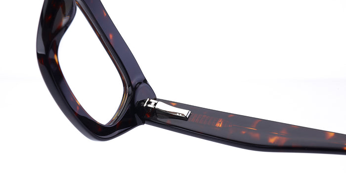 Elegant Summit Eyewear