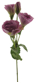 EUSTOMA ALARA SPRAY MAUVE 53CM Deventor