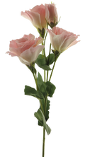 EUSTOMA ALARA SPRAY PINK 53CM Deventor