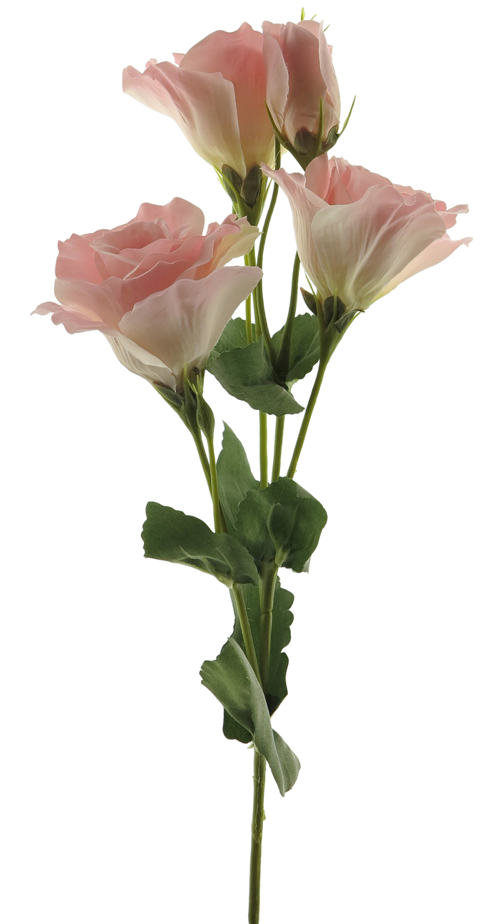 EUSTOMA ALARA SPRAY PINK 53CM Deventor
