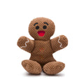 Fabdog Floppy Gingerbread Man Dog Toy