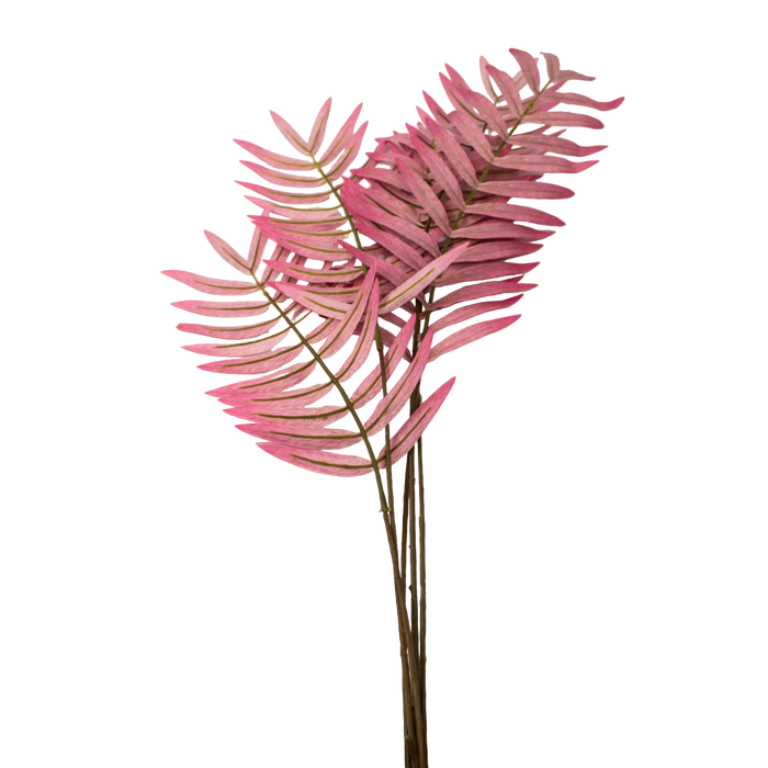 FERN LEAF MIRJA PINK 93CM Deventor