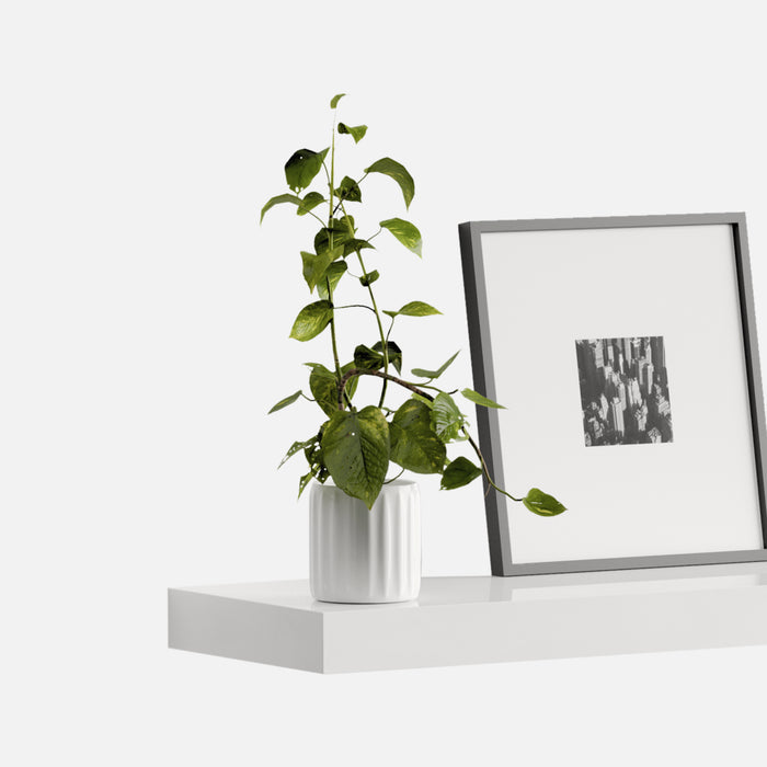 Floating Shelf Gloss White 1200x250x50mm