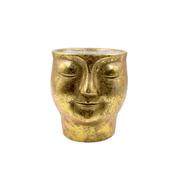 FLOWER POT FACE 15X15X17CM Deventor
