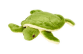 Fluff & Tuff Shelly Turtle