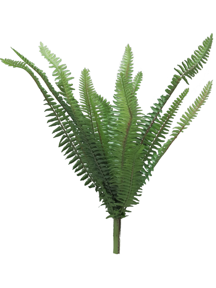 FOREST FERN GREEN 41CM Deventor