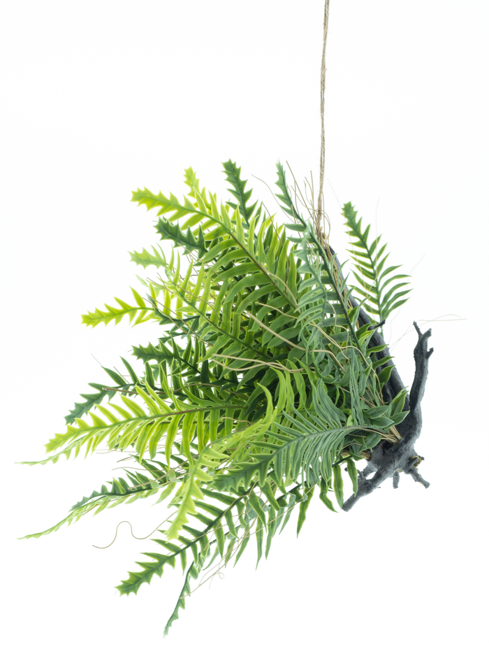 FOREST FERN HANGER 28CM Deventor