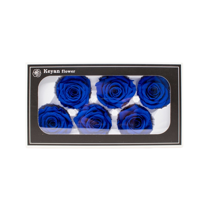 FOREVER ROSES 6PCS BLUE 6CM Deventor