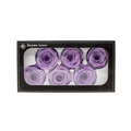 FOREVER ROSES 6PCS LEVANDER 6CM Deventor