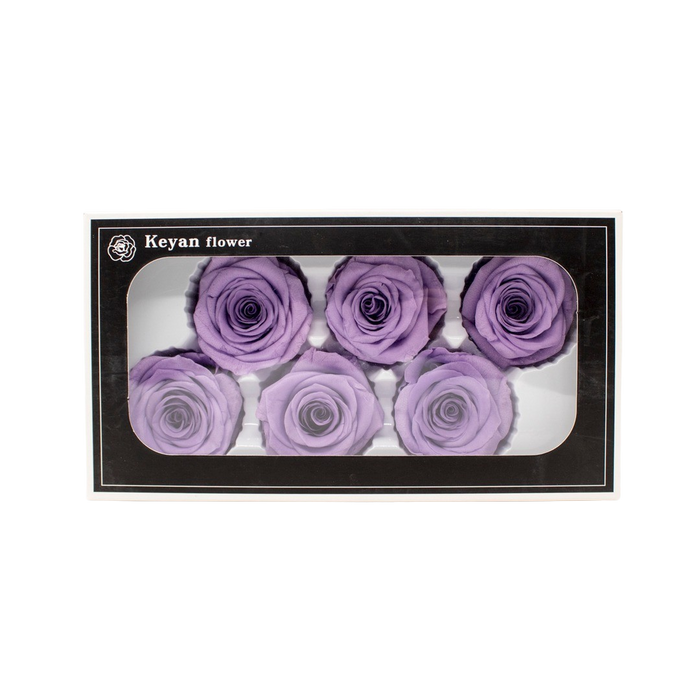 FOREVER ROSES 6PCS LEVANDER 6CM Deventor