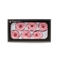 FOREVER ROSES 6PCS PINK 6CM Deventor