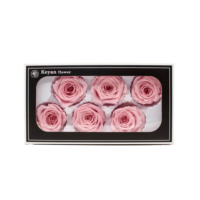 FOREVER ROSES 6PCS PINK 6CM Deventor