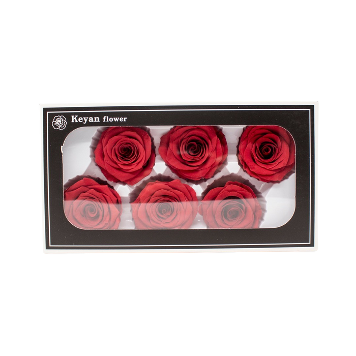 FOREVER ROSES 6PCS RED 6CM Deventor