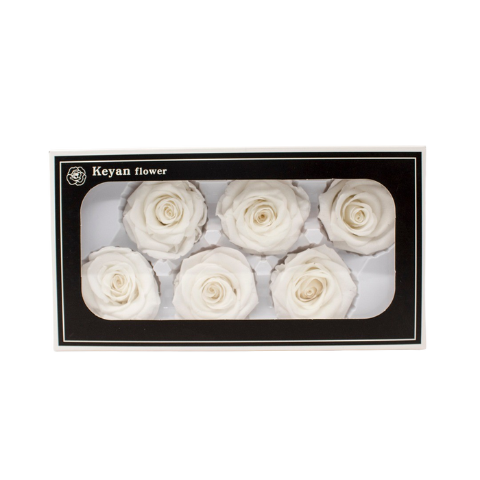 FOREVER ROSES 6PCS WHITE 6CM Deventor