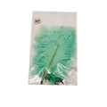 FTERA 20-25CM 10PCS MENTA Deventor