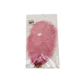 FTERA 20-25CM 10PCS Deventor