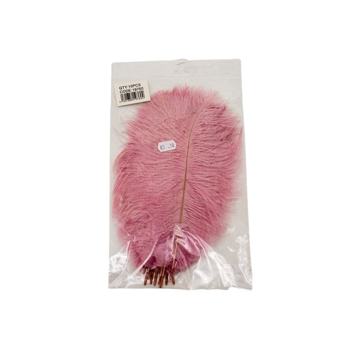 FTERA 20-25CM 10PCS Deventor
