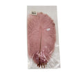 FTERA 30-35CM 10PCS SAPIO MHLO Deventor