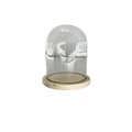 GLASS DOME WITH BASE 12X15CM Deventor