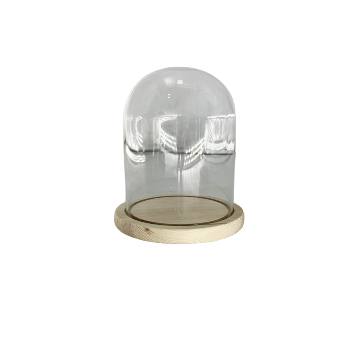 GLASS DOME WITH BASE 12X15CM Deventor