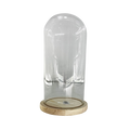 GLASS DOME WITH BASE 12X25CM Deventor