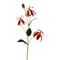 GLORIOSA LILY ORANGE 82CM Deventor