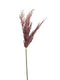 GRASS SPRAY RED 99CM Deventor